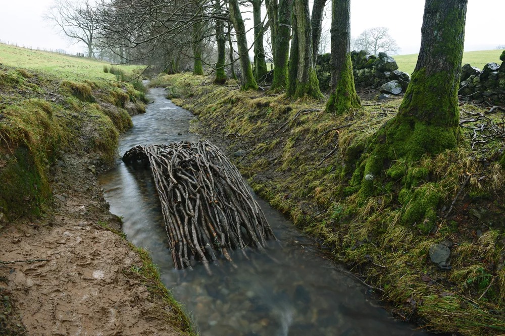 The Outstanding Land Art Of Andy Goldsworthy (6)
