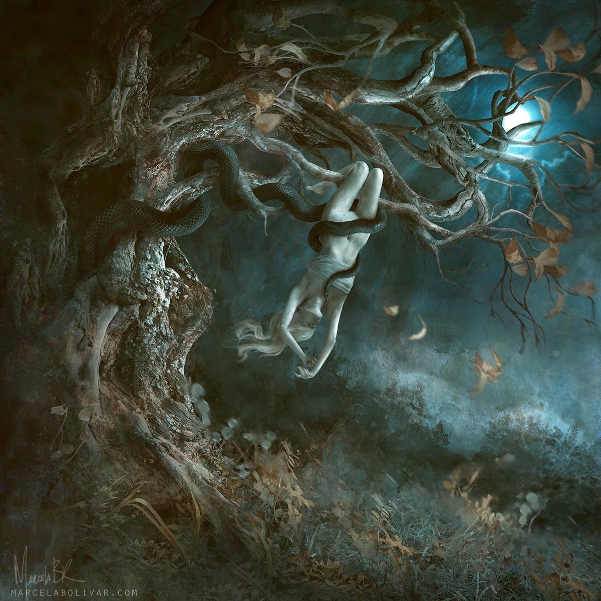 Dark, Lush, And Surreal Digital Paintings By Marcela Bolívar (10)