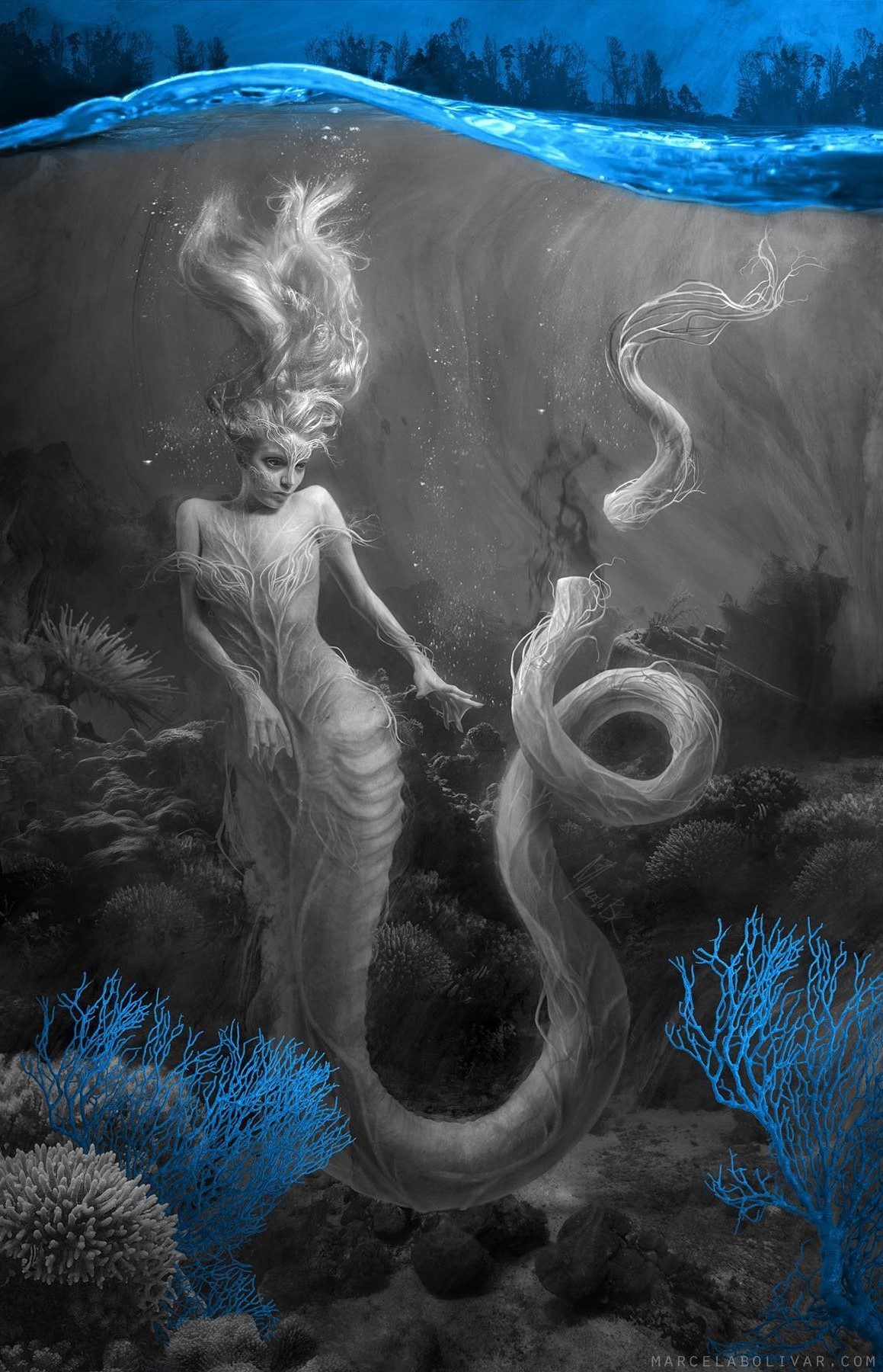 Dark, Lush, And Surreal Digital Paintings By Marcela Bolívar (19)