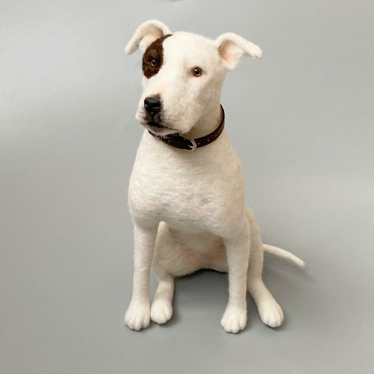 Hyper Realistic Animal Felted Wool Sculptures By Alla Rebrova (10)