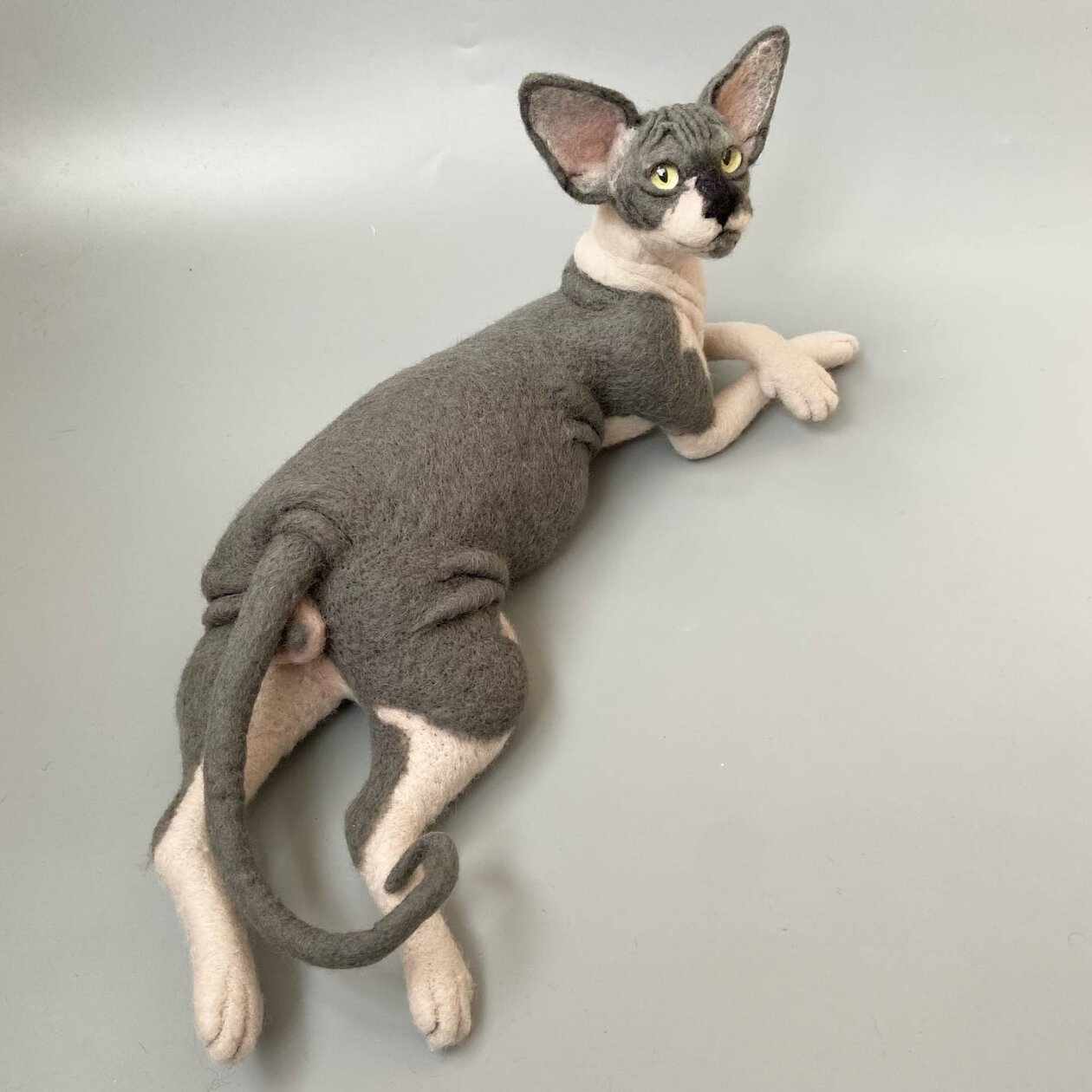 Hyper Realistic Animal Felted Wool Sculptures By Alla Rebrova (23)