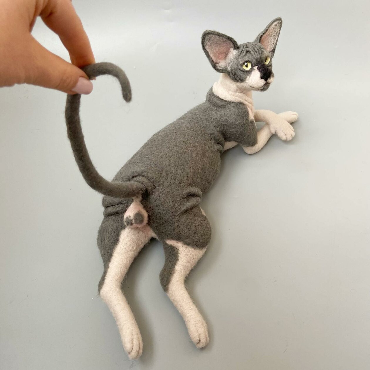 Hyper Realistic Animal Felted Wool Sculptures By Alla Rebrova (25)