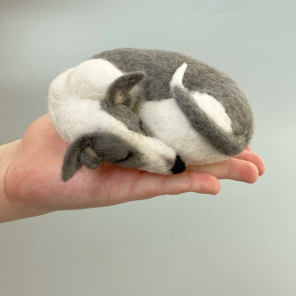 Hyper Realistic Animal Felted Wool Sculptures By Alla Rebrova (4)
