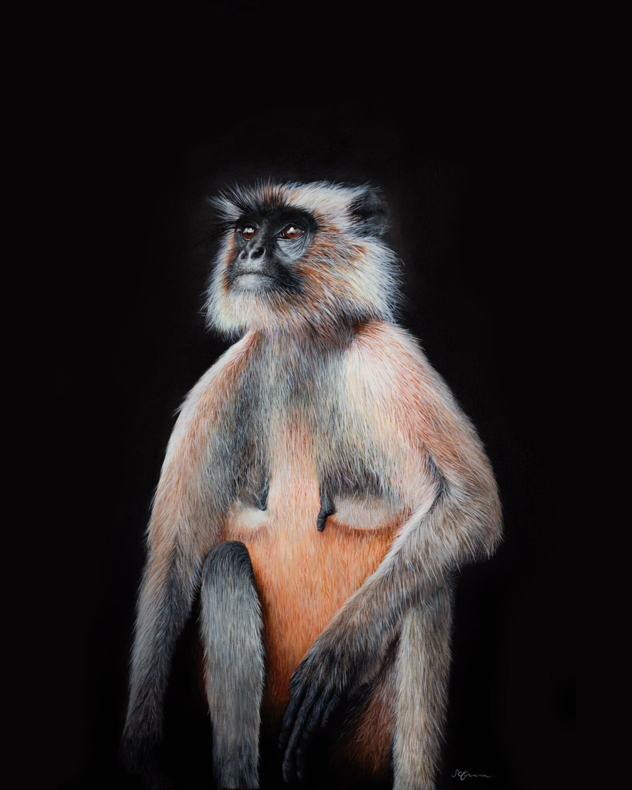 Hyper Realistic Animal Portrait Paintings By Sophie Green (1)