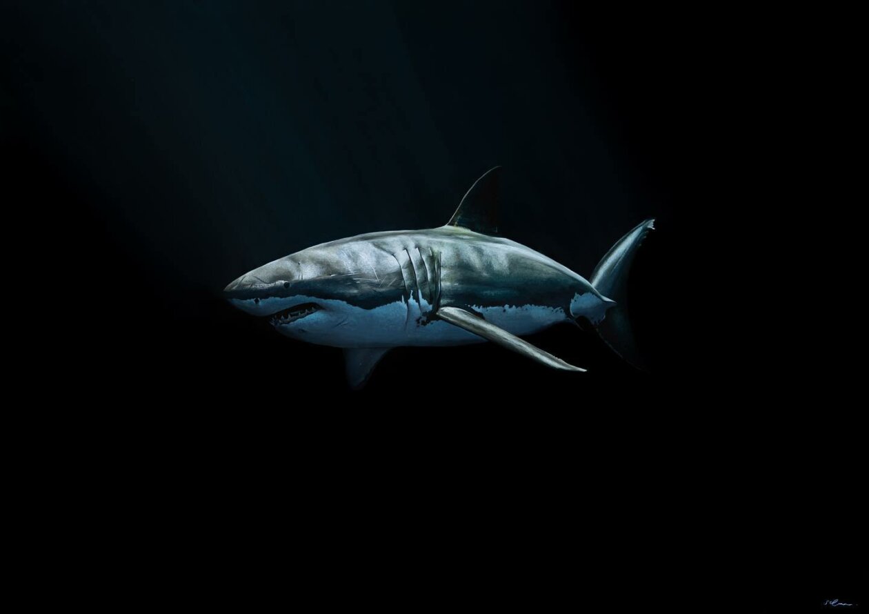 Hyper Realistic Animal Portrait Paintings By Sophie Green (19)