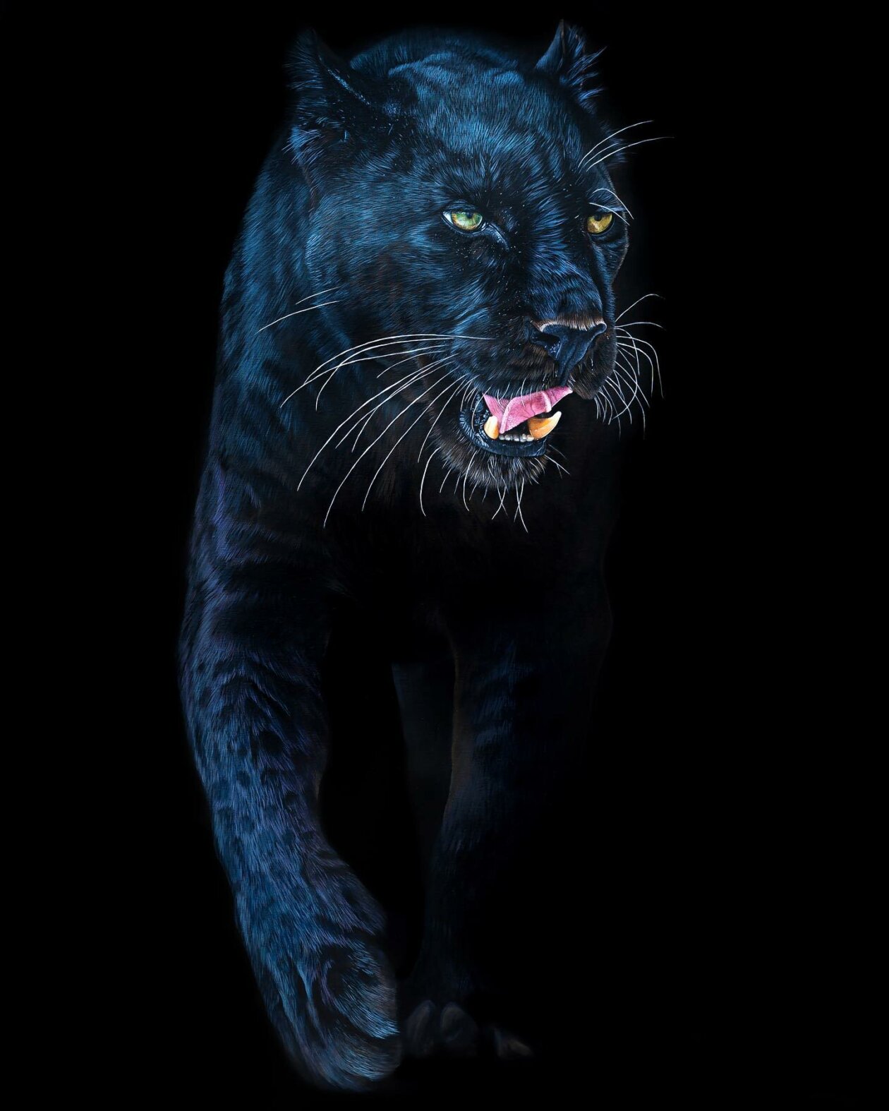 Hyper Realistic Animal Portrait Paintings By Sophie Green (20)