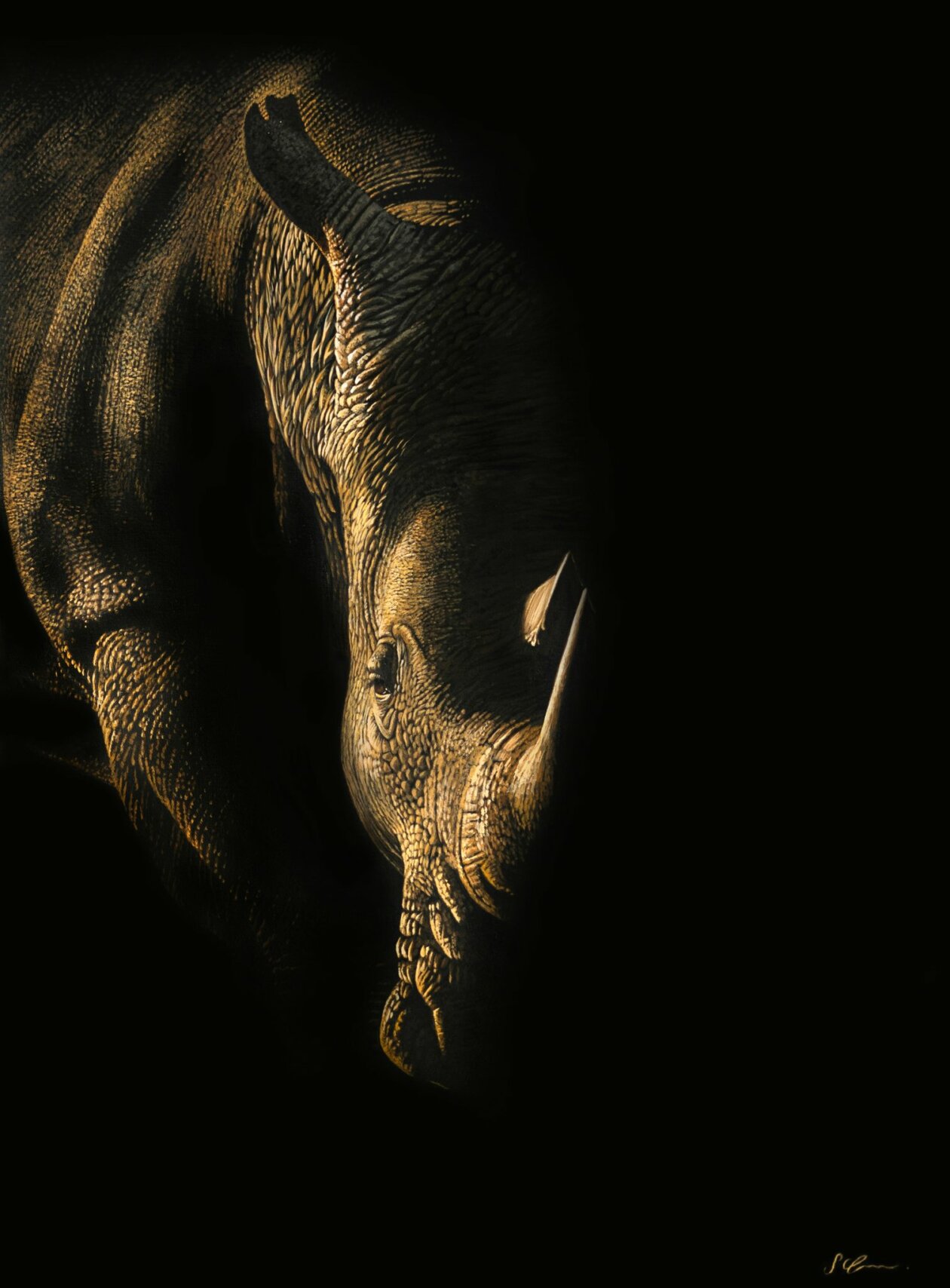 Hyper Realistic Animal Portrait Paintings By Sophie Green (22)