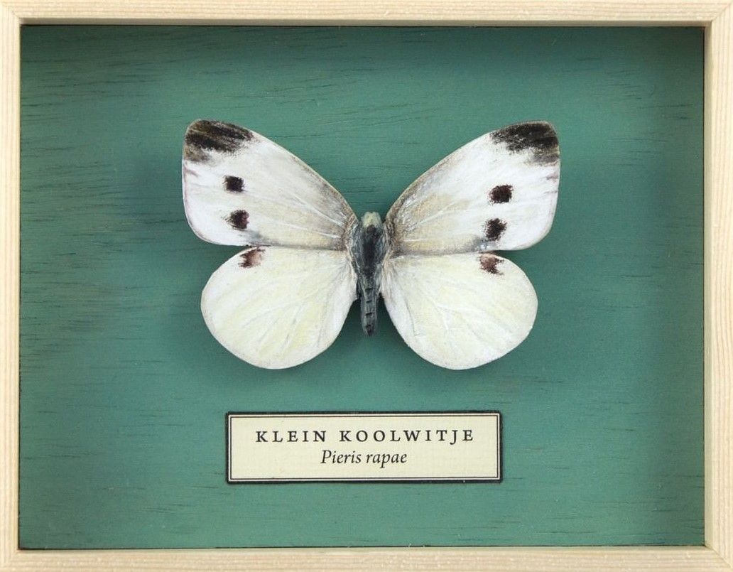 Song Of The Butterfly, Impressively Realistic Butterfly Wood Sculptures By Eyal Holtzman (1)