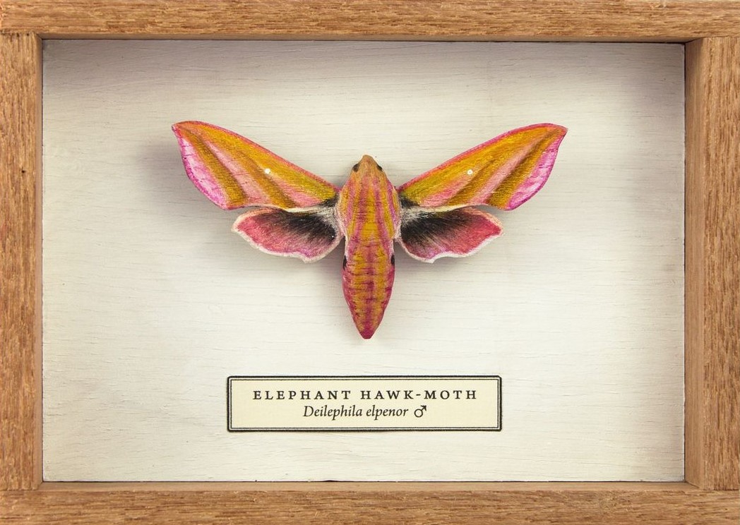 Song Of The Butterfly, Impressively Realistic Butterfly Wood Sculptures By Eyal Holtzman (3)