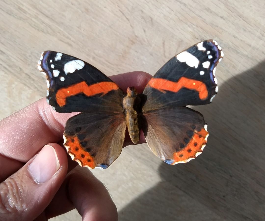 Song Of The Butterfly, Impressively Realistic Butterfly Wood Sculptures By Eyal Holtzman (5)