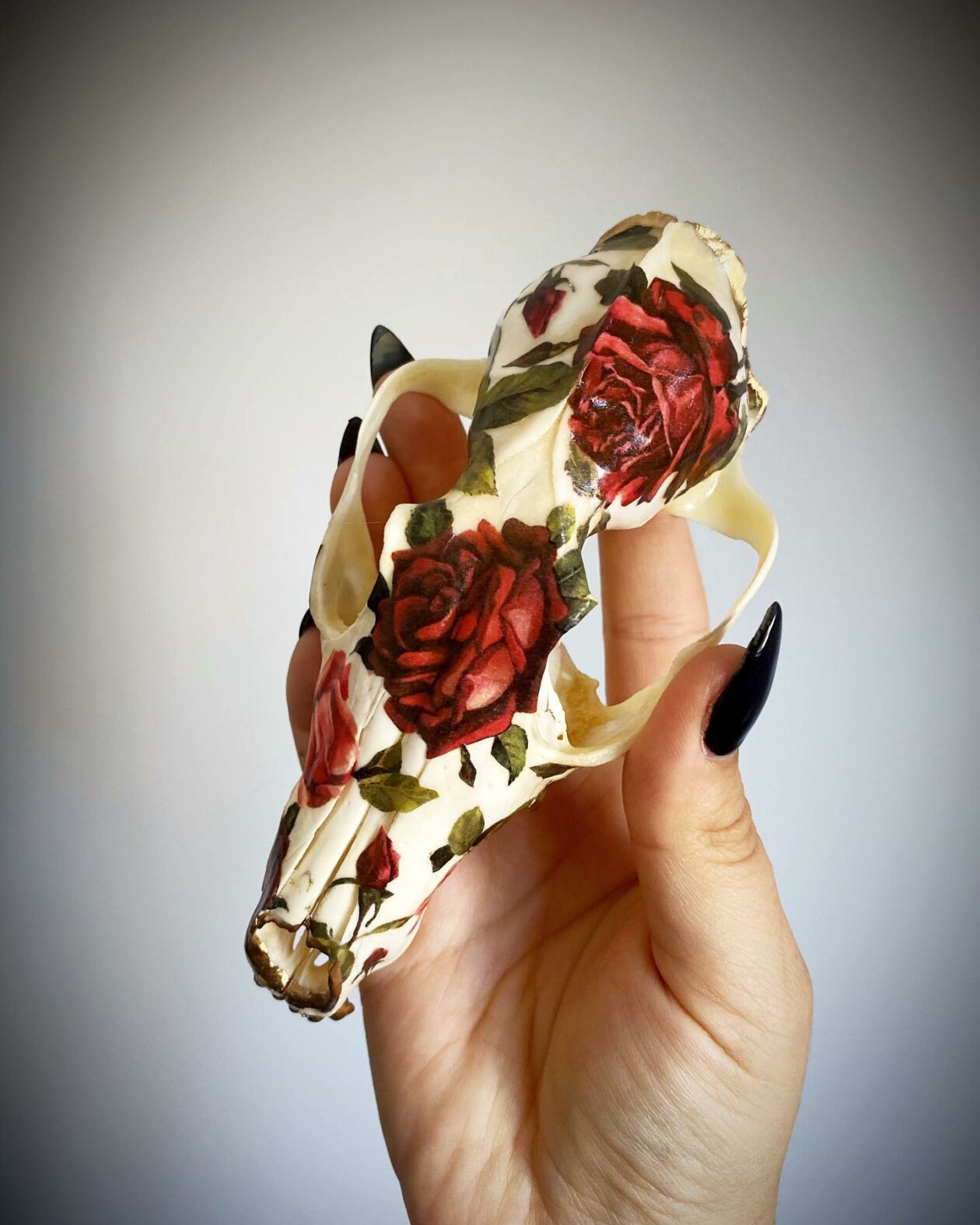 The Floral Decorated Bone And Skull Art Of Emmanuelle Jobidon (24)