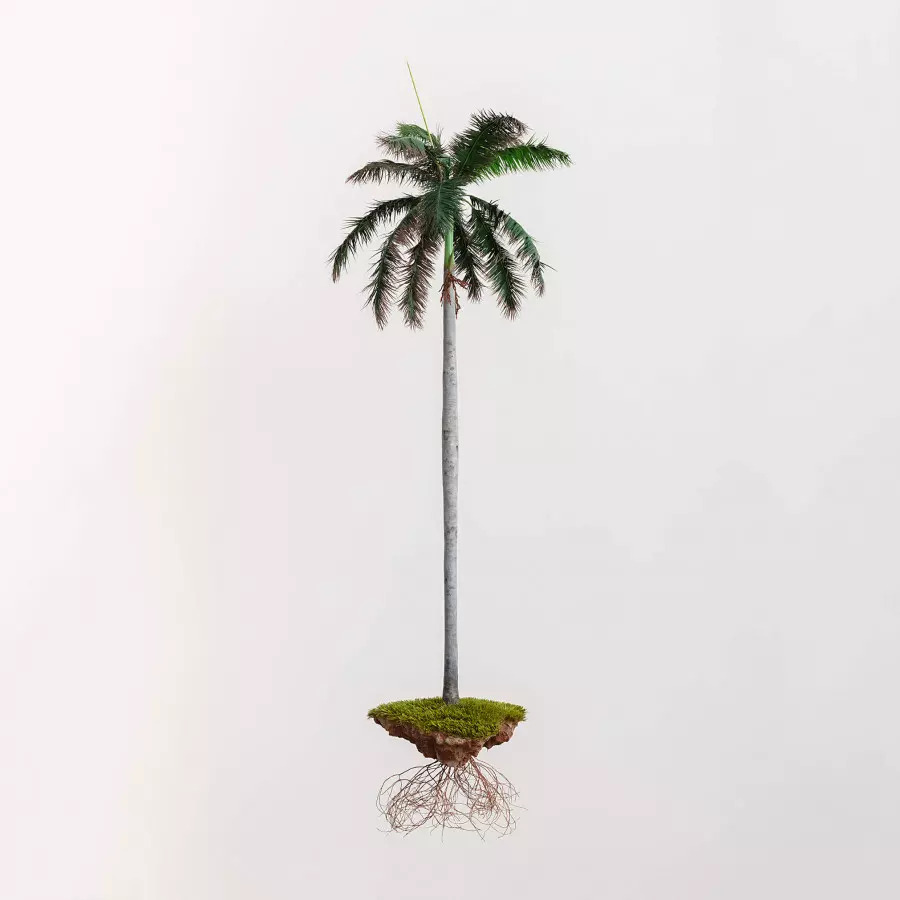 Incredible Sculptures Of Miniaturized Landscapes By Jorge Mayet 2