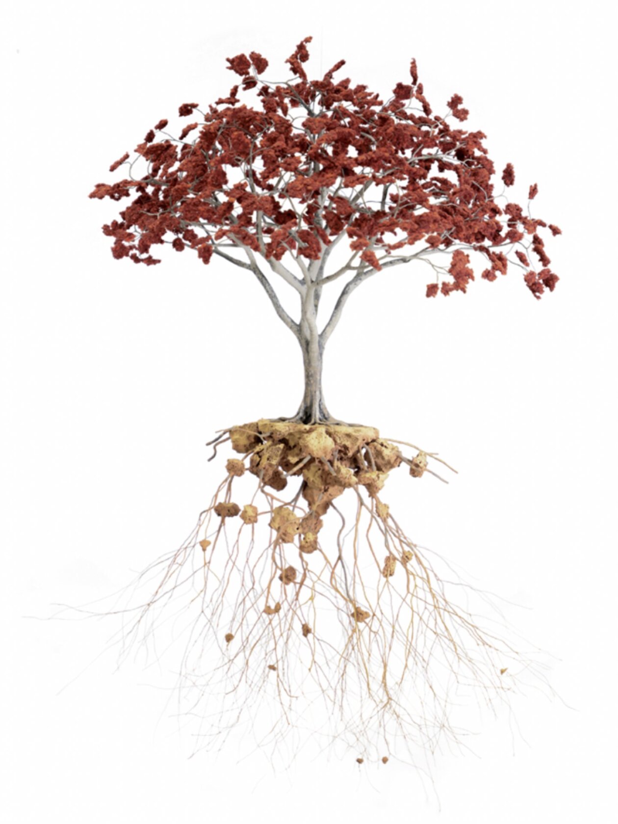 Incredible Sculptures Of Miniaturized Landscapes By Jorge Mayet 27