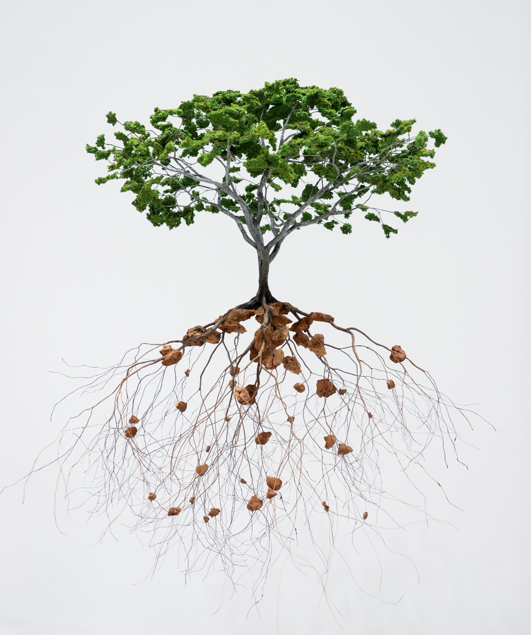 Incredible Sculptures Of Miniaturized Landscapes By Jorge Mayet 8