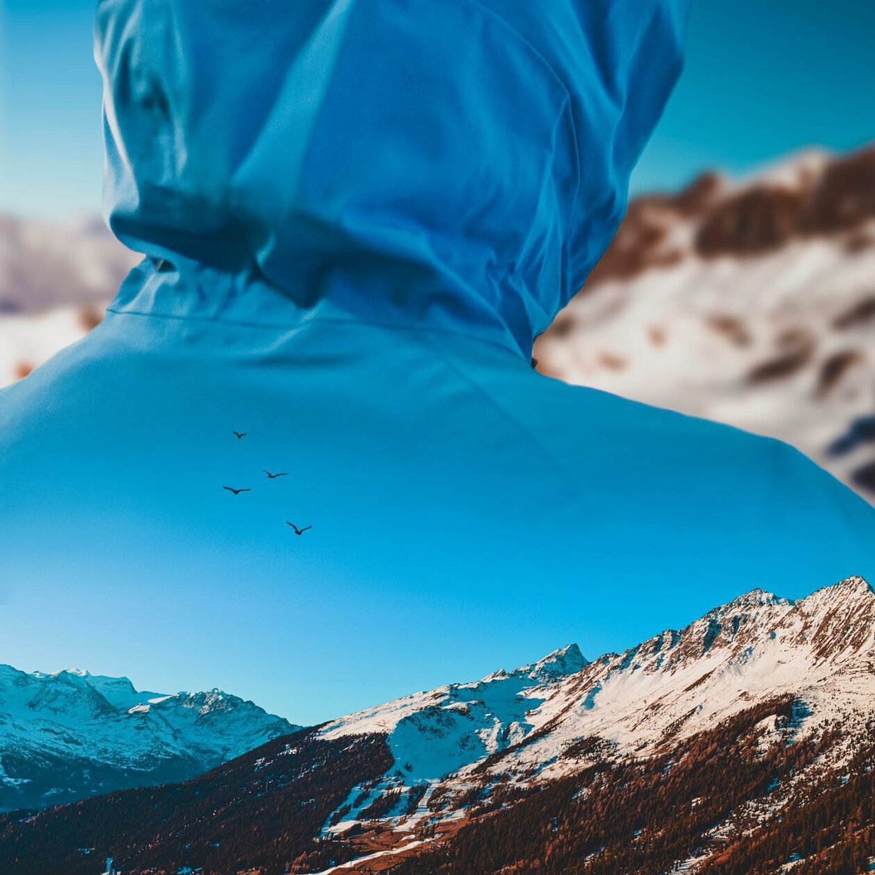 Similar Things Combined Into Surreal Photo Manipulations By Monica Carvalho 13