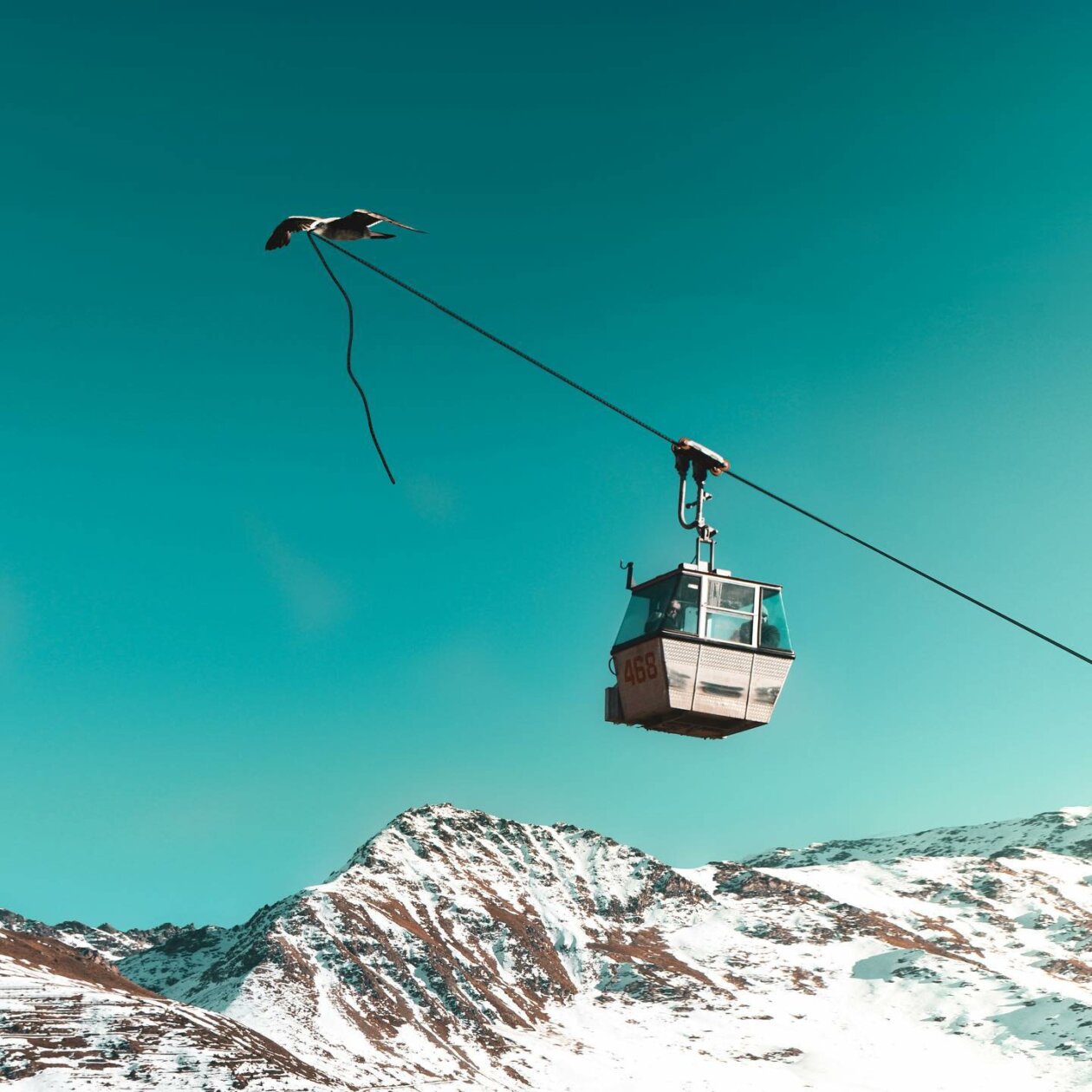 Similar Things Combined Into Surreal Photo Manipulations By Monica Carvalho 14