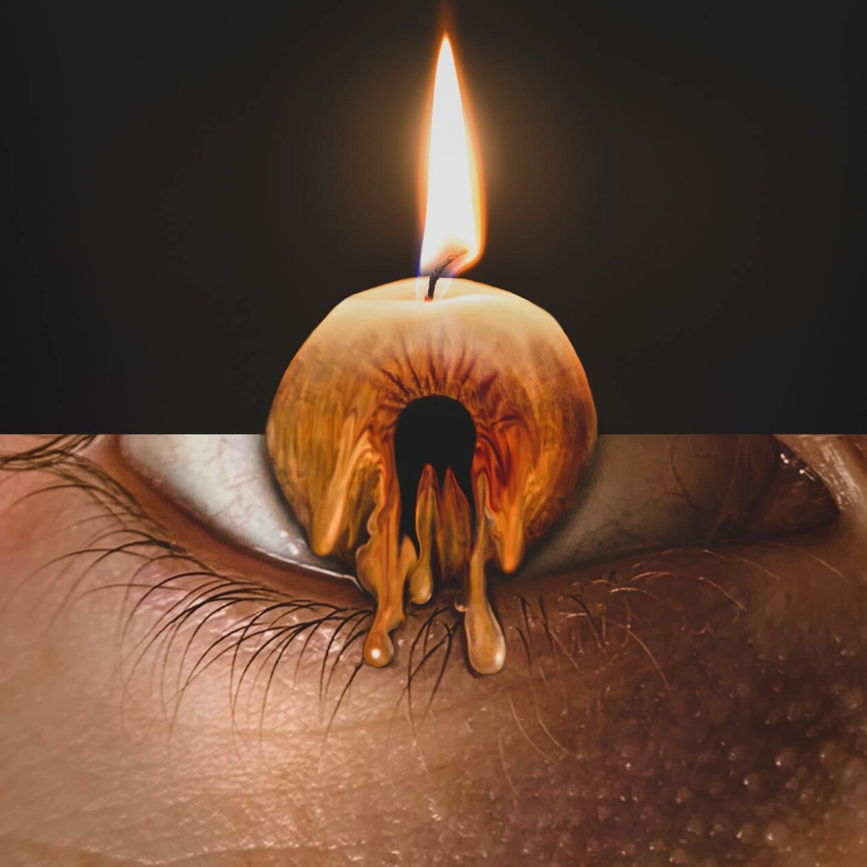 Similar Things Combined Into Surreal Photo Manipulations By Monica Carvalho 19