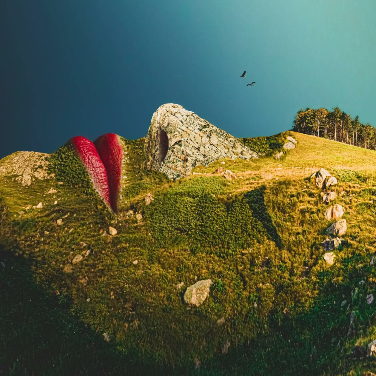 Similar Things Combined Into Surreal Photo Manipulations By Monica Carvalho 20