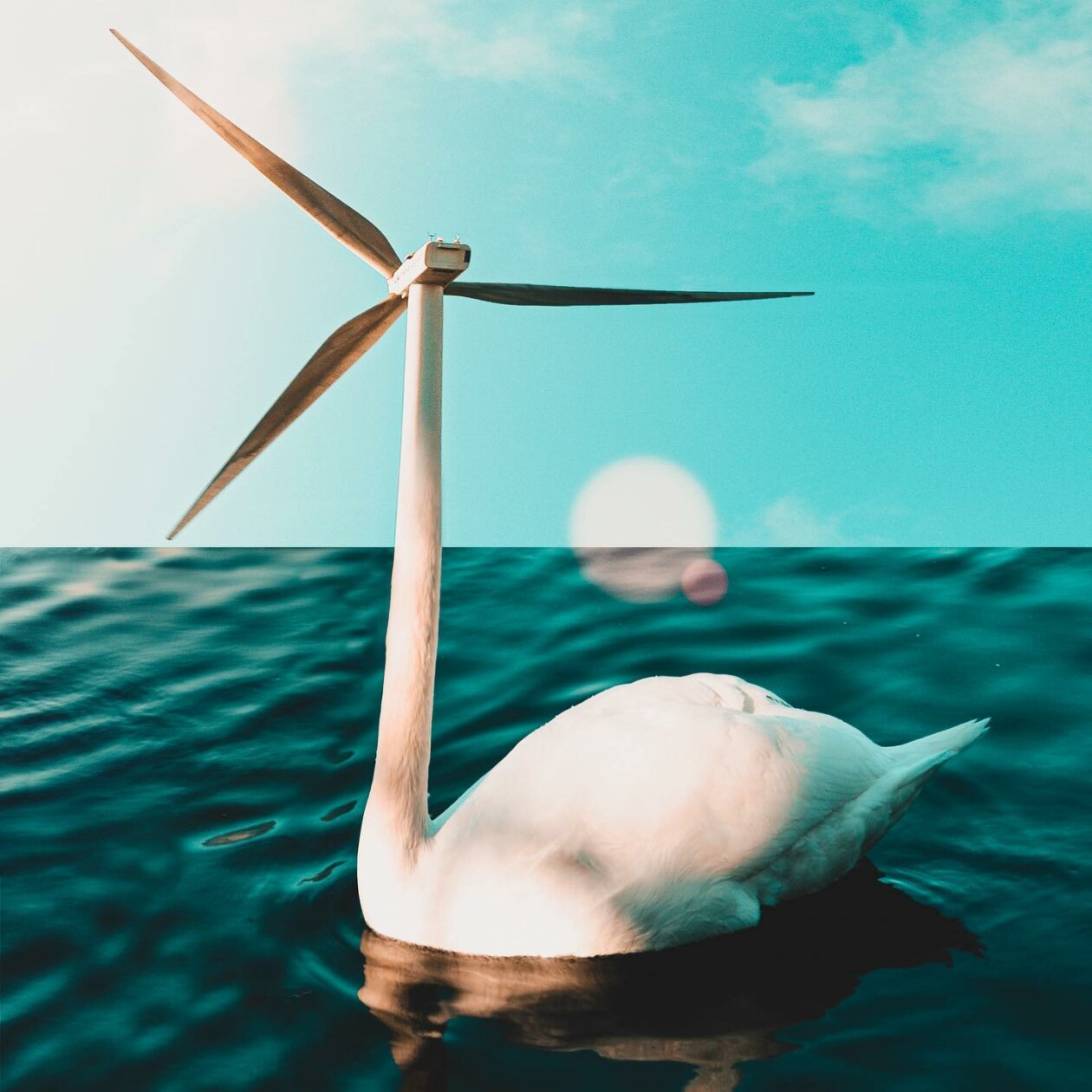 Similar Things Combined Into Surreal Photo Manipulations By Monica Carvalho 22