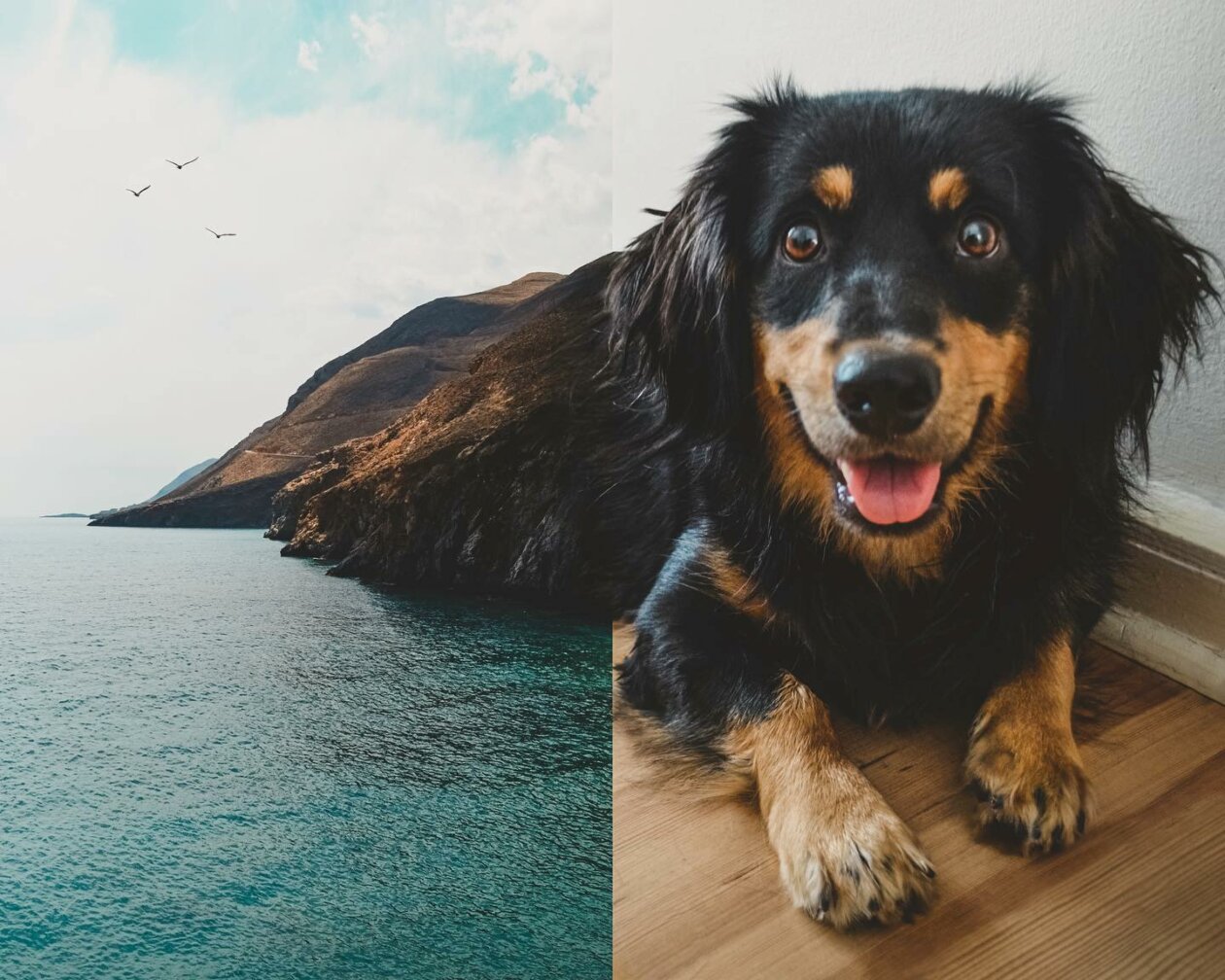 Similar Things Combined Into Surreal Photo Manipulations By Monica Carvalho 6