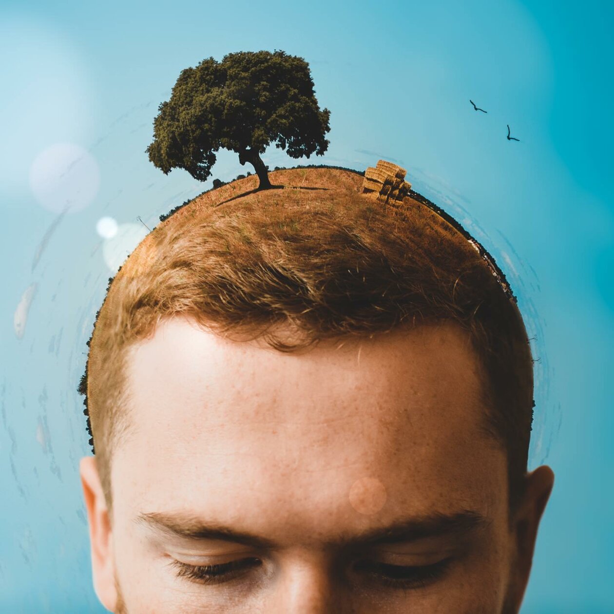 Similar Things Combined Into Surreal Photo Manipulations By Monica Carvalho 9