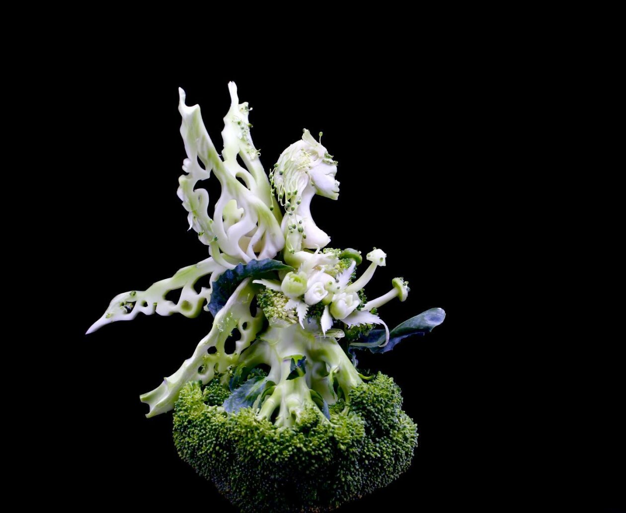 Superb Fruit And Vegetable Carvings By Daniele Barresi 1