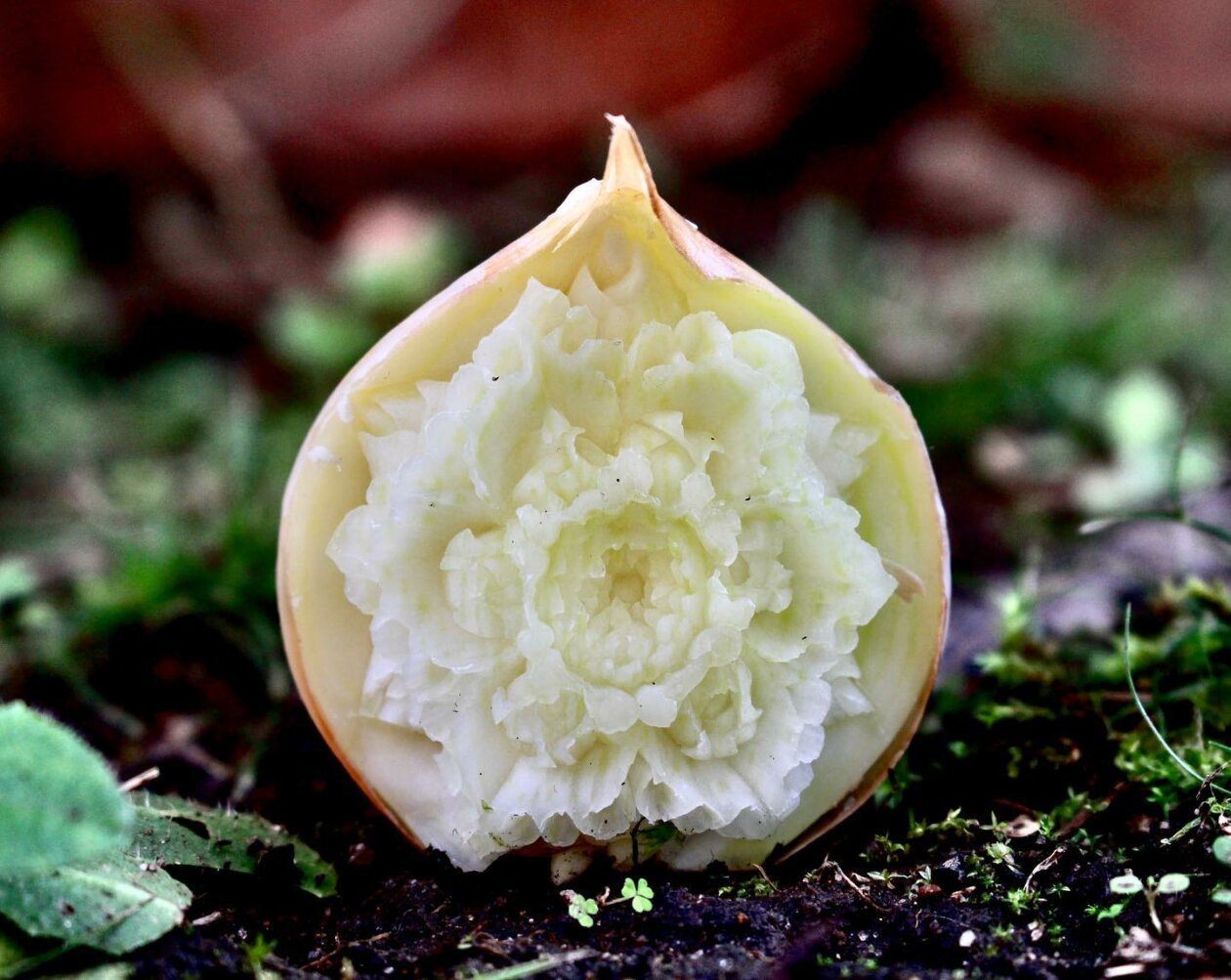 Superb Fruit And Vegetable Carvings By Daniele Barresi 19