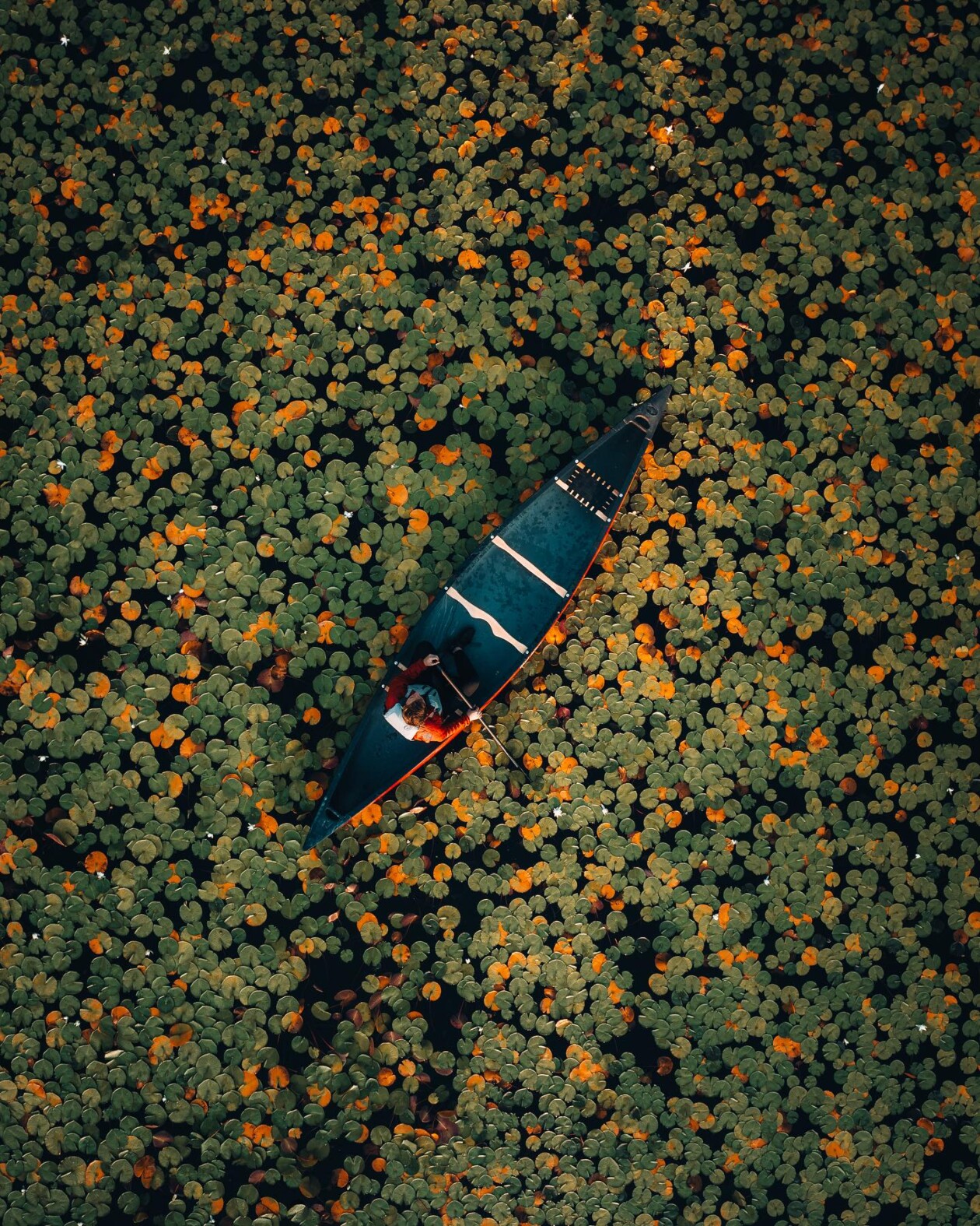 The Ethereal Natural Landscape Photography Of Ryan Canty (13)