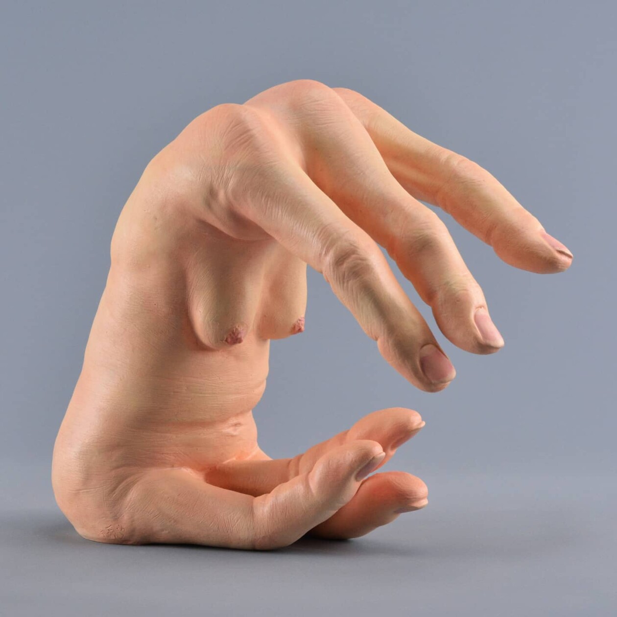 Bizarre Human Anatomy Based Sculptures By Alessandro Boezio (12)