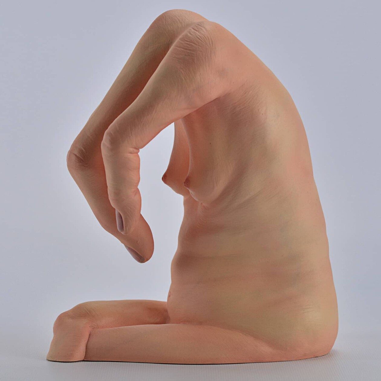 Bizarre Human Anatomy Based Sculptures By Alessandro Boezio (13)
