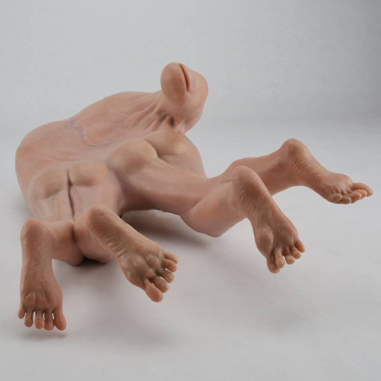 Bizarre Human Anatomy Based Sculptures By Alessandro Boezio (14)