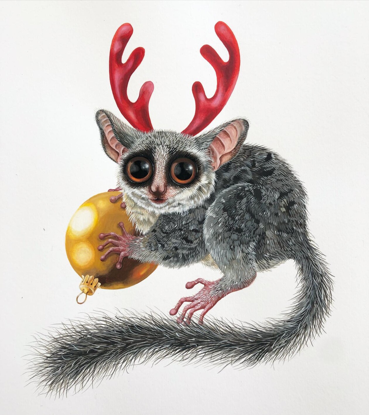 Fascinating Naturalistic Illustrations By Georgina Taylor (11)