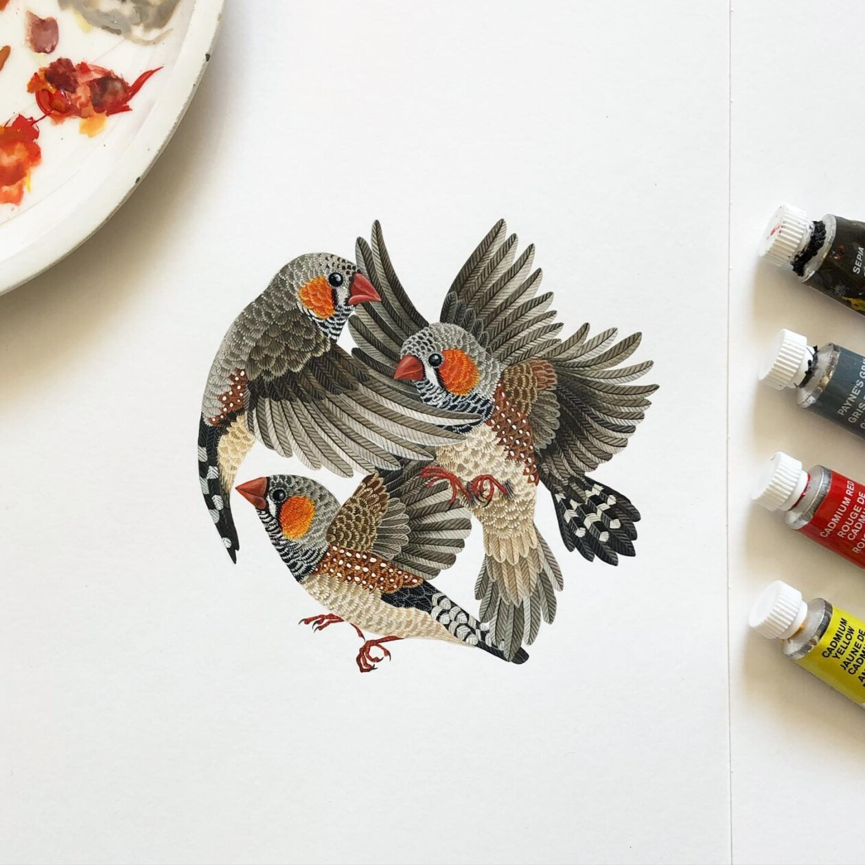 Fascinating Naturalistic Illustrations By Georgina Taylor (12)