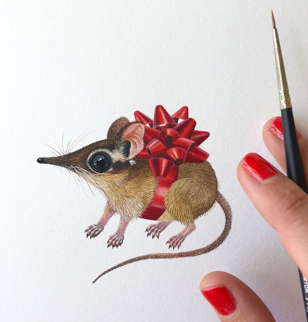 Fascinating Naturalistic Illustrations By Georgina Taylor (13)