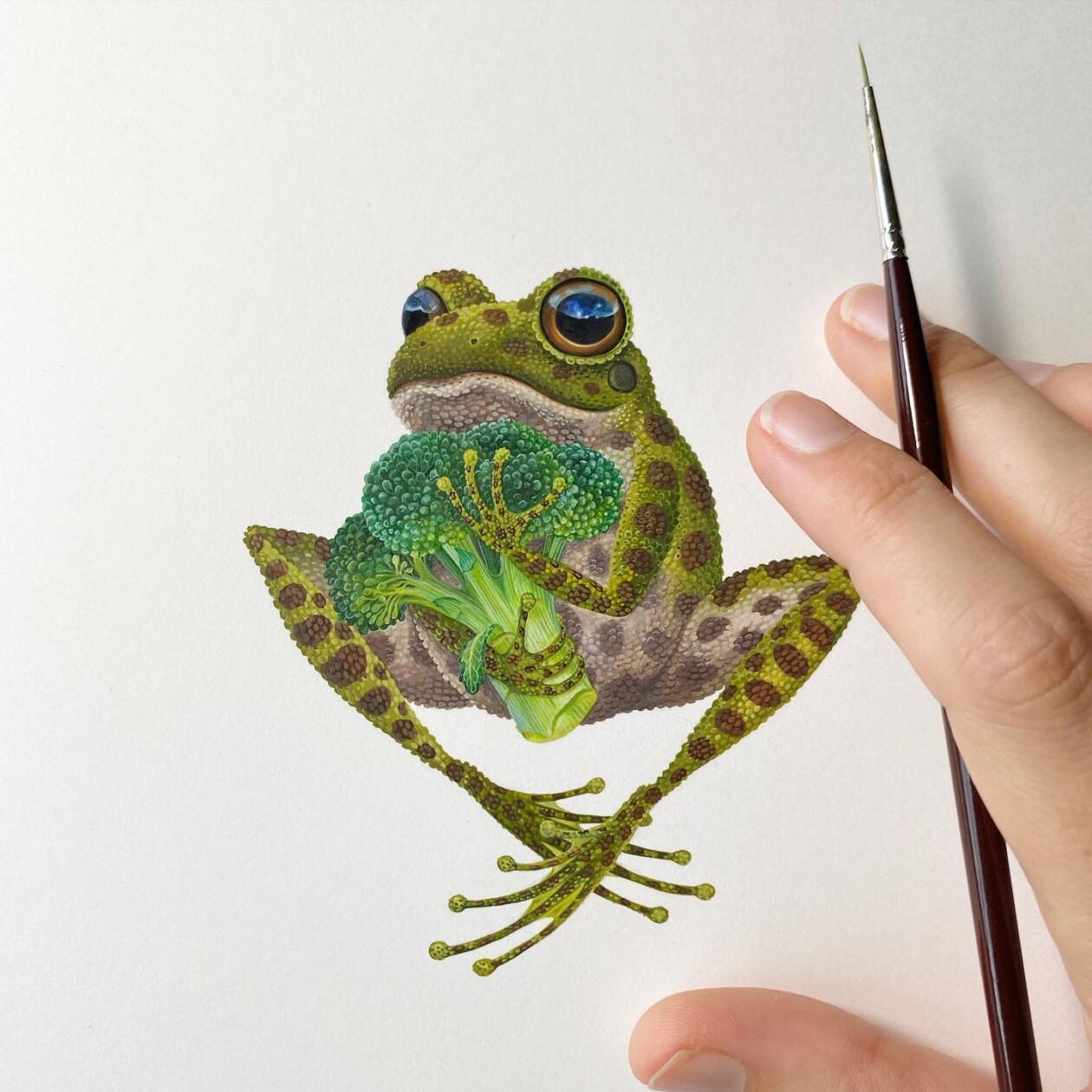 Fascinating Naturalistic Illustrations By Georgina Taylor (19)