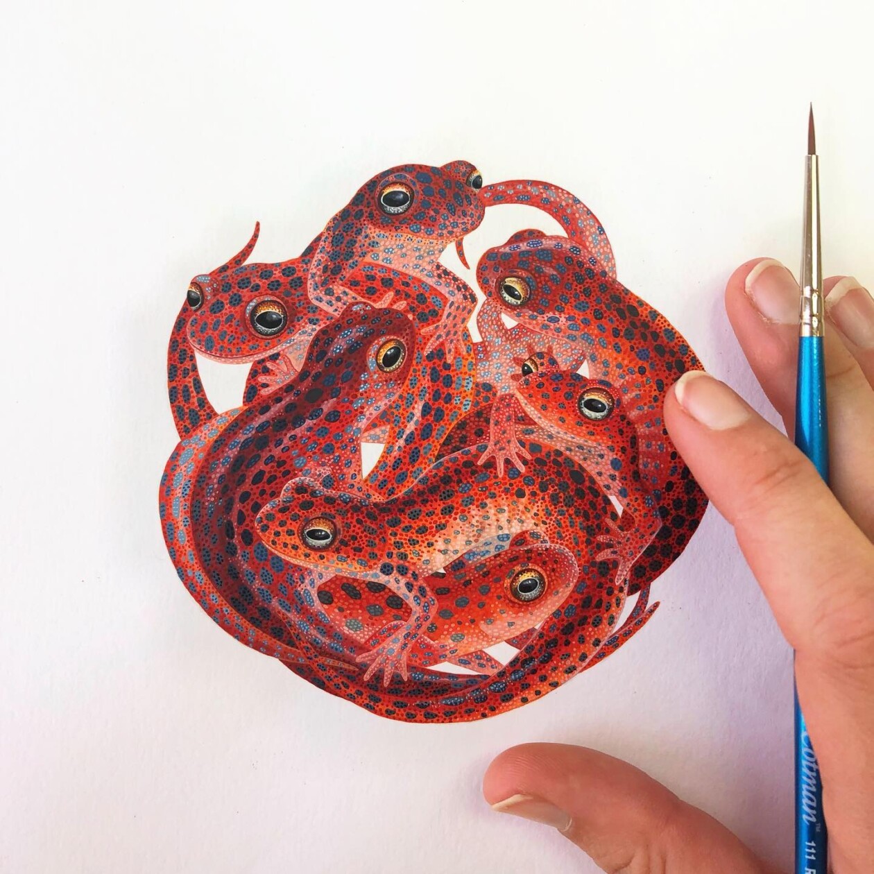 Fascinating Naturalistic Illustrations By Georgina Taylor (2)