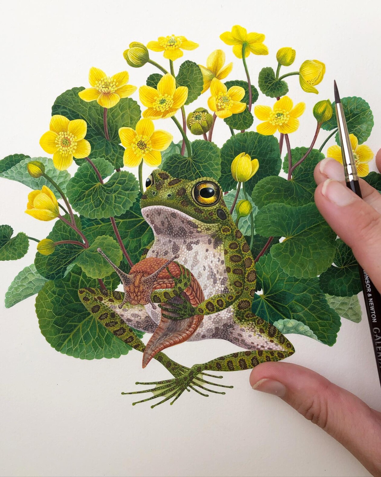 Fascinating Naturalistic Illustrations By Georgina Taylor (3)