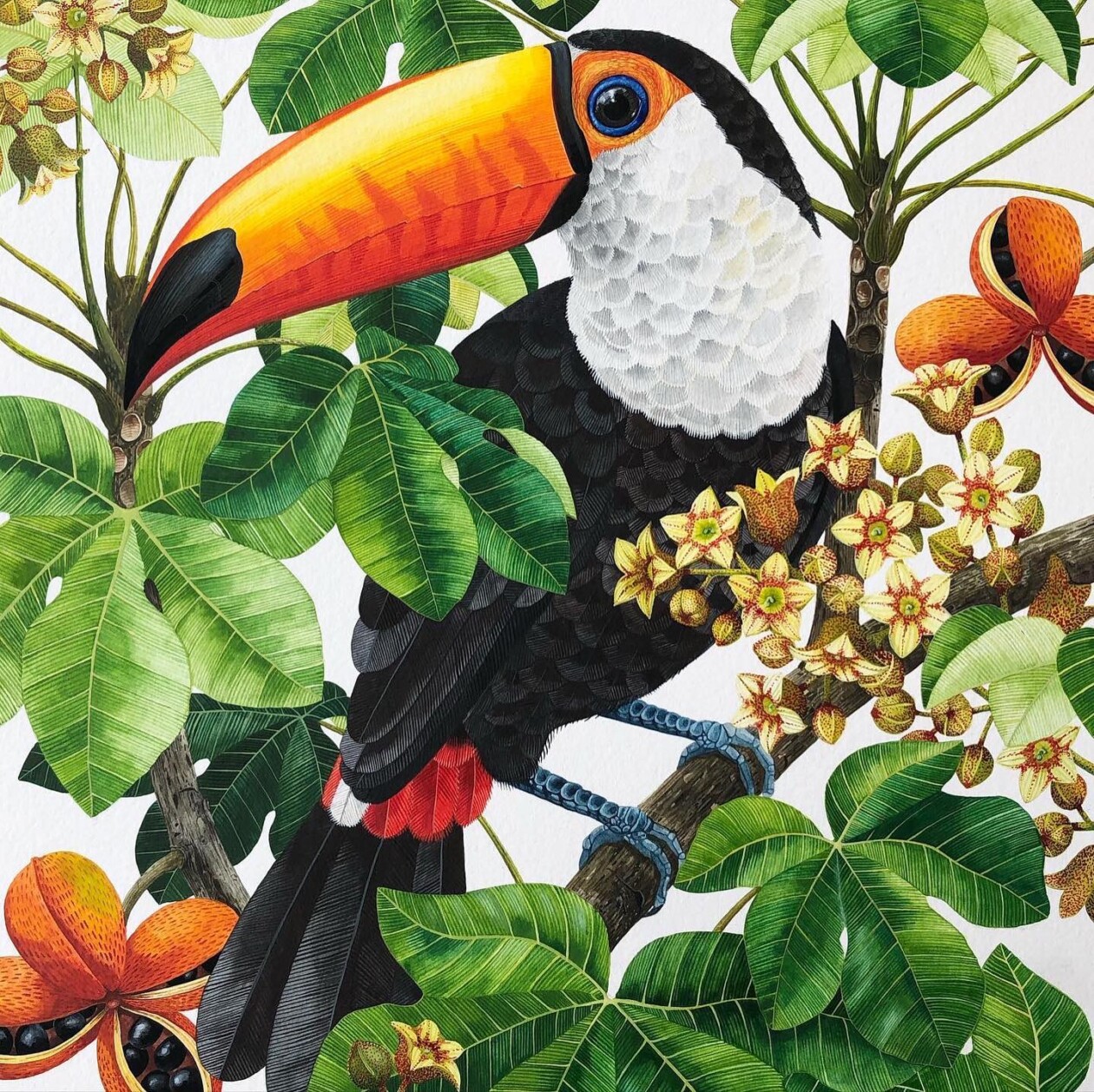 Fascinating Naturalistic Illustrations By Georgina Taylor (5)