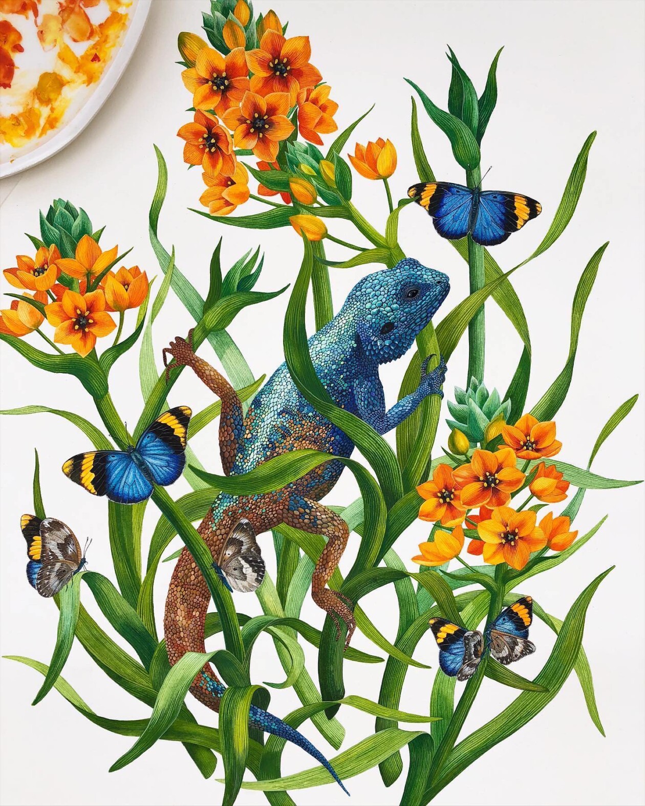 Fascinating Naturalistic Illustrations By Georgina Taylor (7)