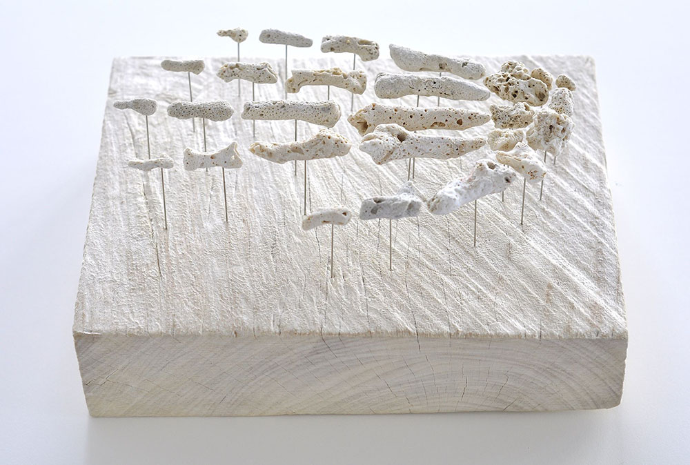 Sculptures Of Anatomical Details Made From Found Coral And Shells By Gregory Halili (1)