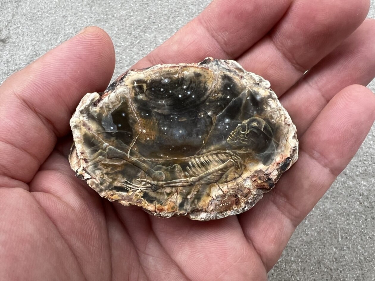 Sculptures Of Anatomical Details Made From Found Coral And Shells By Gregory Halili (11)