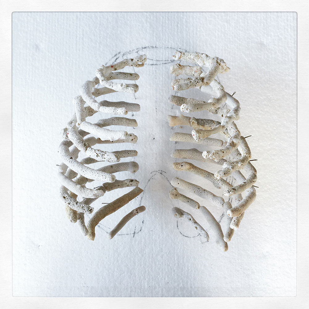 Sculptures Of Anatomical Details Made From Found Coral And Shells By Gregory Halili (2)