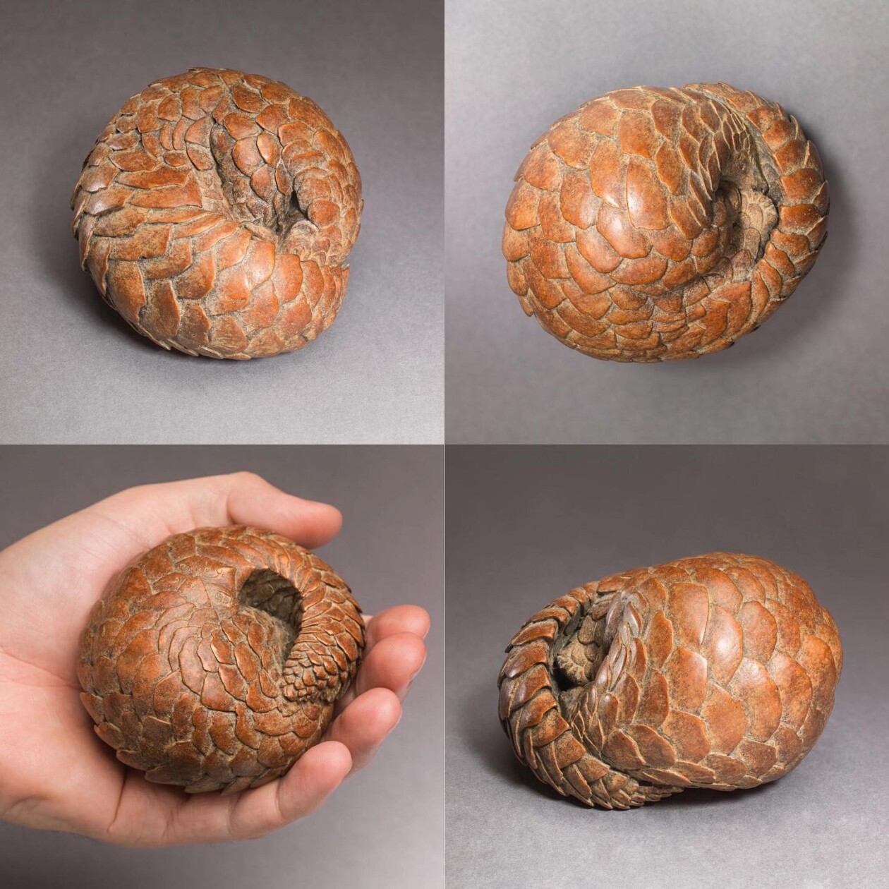 Exquisite Wildlife Bronze Sculptures By Nick Bibby (18)