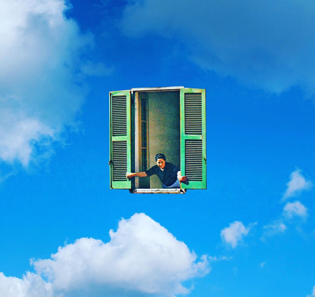 Funny And Ironic Photo Collages By Toon Joosen (21)