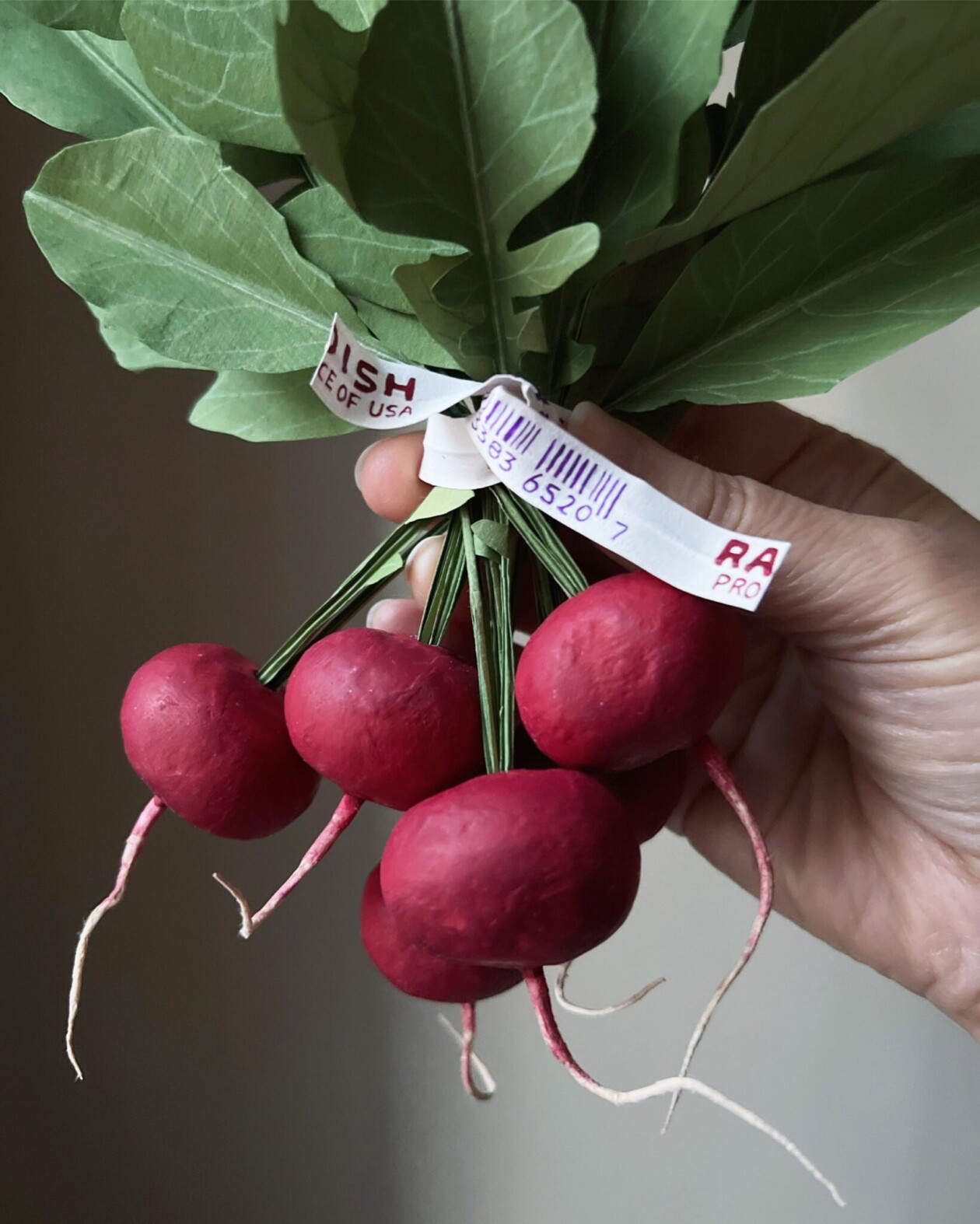 Splendid Lifelike Paper Sculptures Of Animals, Plants, Vegetables, And Mushrooms By ann Wood (14)