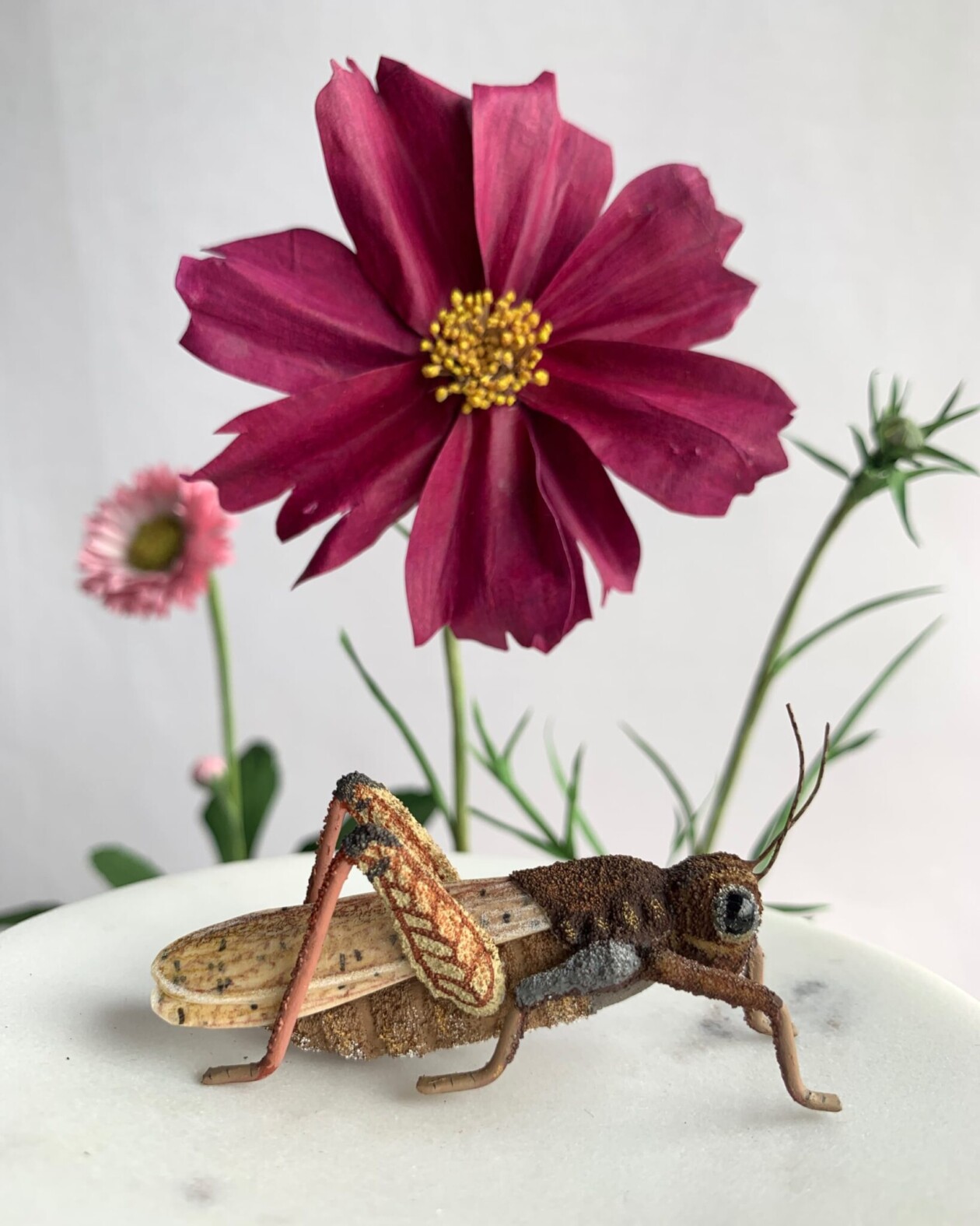 Splendid Lifelike Paper Sculptures Of Animals, Plants, Vegetables, And Mushrooms By ann Wood (2)
