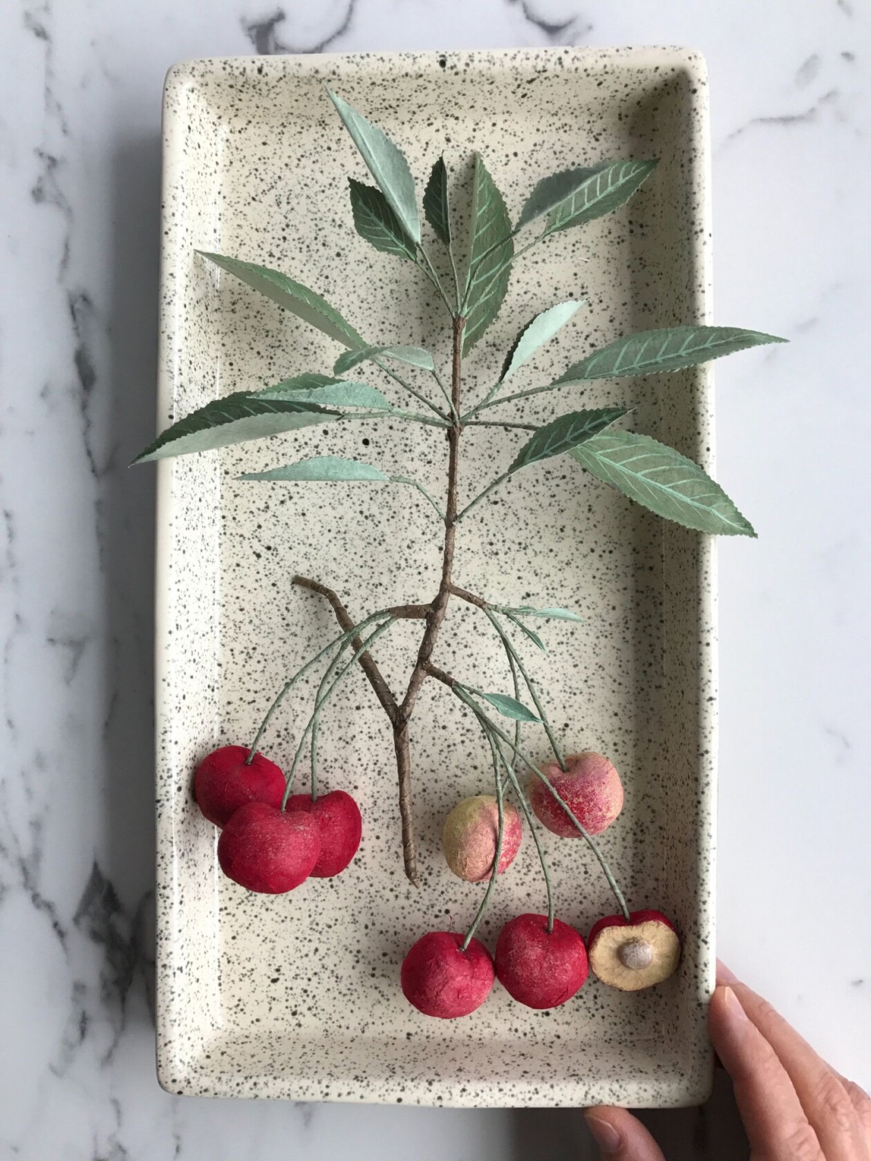 Splendid Lifelike Paper Sculptures Of Animals, Plants, Vegetables, And Mushrooms By ann Wood (23)