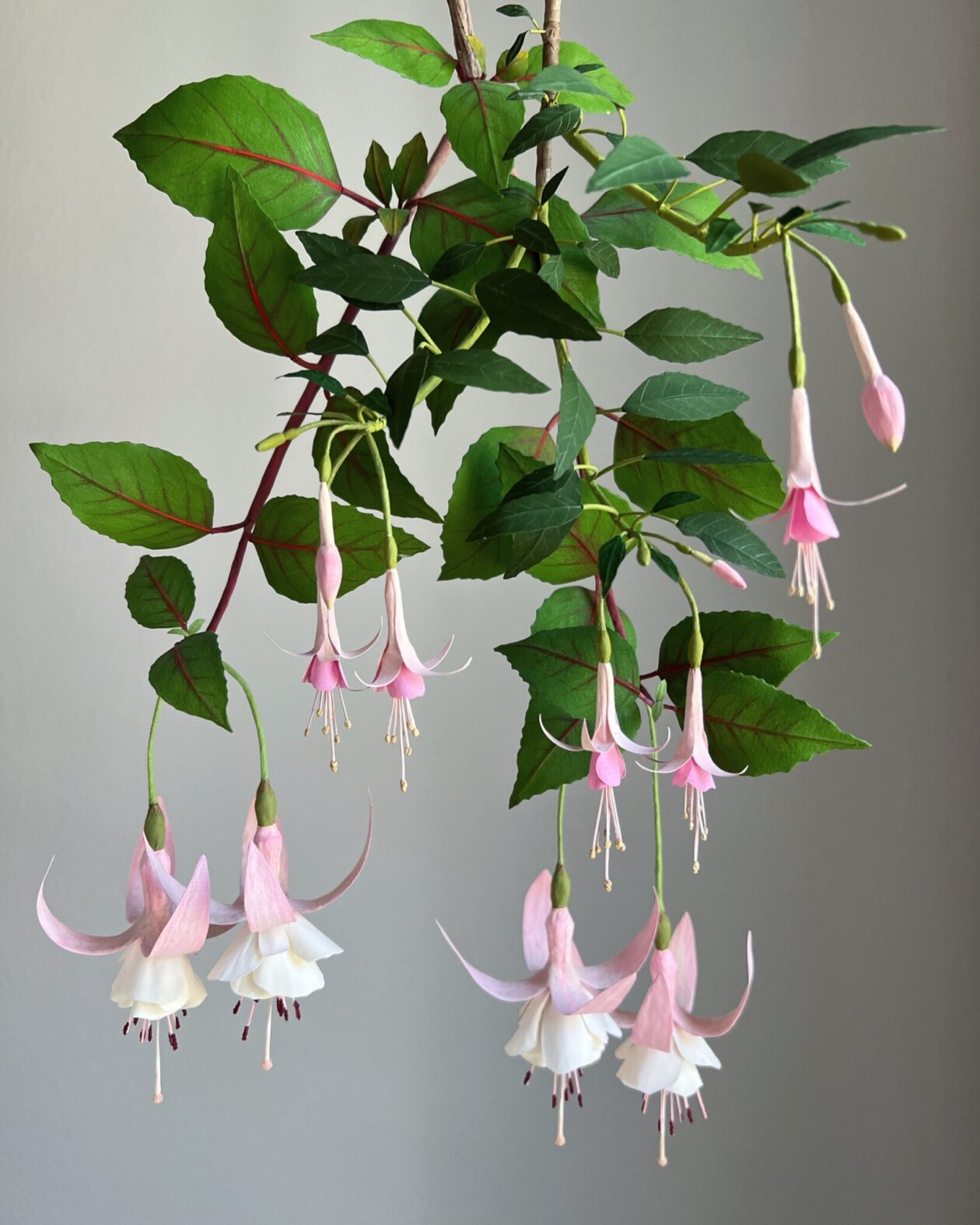 Splendid Lifelike Paper Sculptures Of Animals, Plants, Vegetables, And Mushrooms By ann Wood (5)