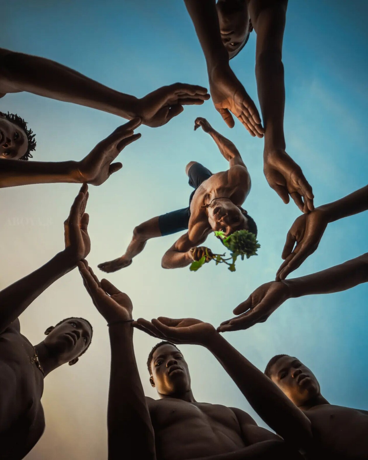 Black Beauty, The Splendid Photography By Michael Aboya (12)