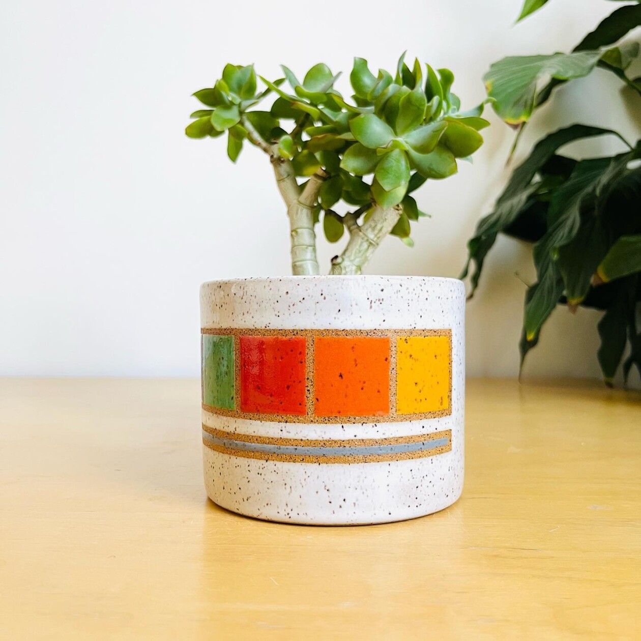 Colorful Ceramics By Liz Cohen (16)